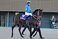 Panthalassa