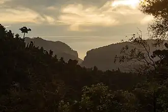 Pororari gorge