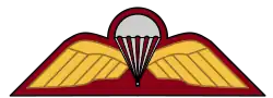 Parachute Wings