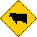 P-57 Animals on the road (cattle)