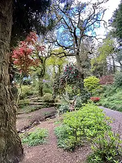 Parc Cefn Onn