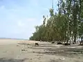 Parki Beach