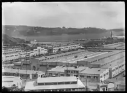 3rd Dunedin exhibition