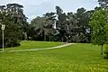 Path through lawn