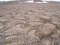  ... with patterned ground on Devon Island in the Canadian Arctic, on Earth.