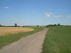Fields in Pawłówe