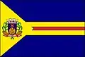 Flag of Pedro Gomes