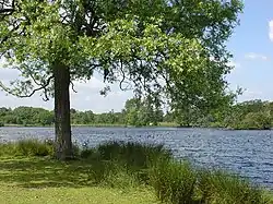 The southern and upper of the two Pen Ponds
