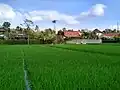 Farmland