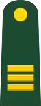 Captain