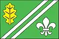 Flag of Pesvice