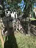 Petting Zoo at Pinecrest Gardens
