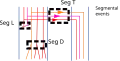 Multiple gene lineages can undergo joint events like segmental duplication, transfer or loss, or even whole genome duplication.