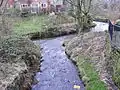 Confluence with River Beal