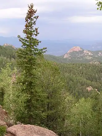 A view from the trail leading to the tower.