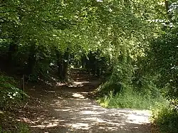 Image 9 Credit: Oliver Dixon The Pilgrims' Way is the route supposed to have been taken by pilgrims from Winchester in Hampshire, England, to the shrine of Thomas Becket at Canterbury in Kent. More about the Pilgrims' Way... (from Portal:Kent/Selected pictures)