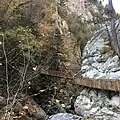 Küre Mountains National Park