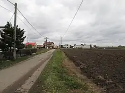 Road