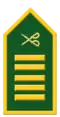 Commandant