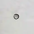 Pollen of Senna tora