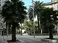 Façade between the palm trees