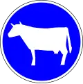 Domesticated animals only