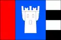 Flag of Nesovice