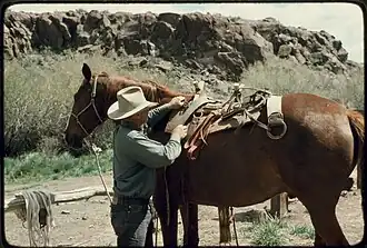 Pack saddle horse on the Grayson Ranch.