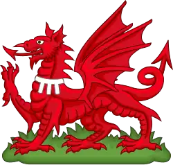 The red Welsh dragon badge with a label of three points