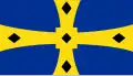 Design E - The five black diamonds symbolise the local coal industry and the part it played in Durham's economy and culture.[3]