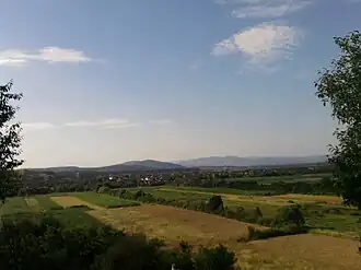 View of Prunișor