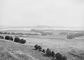 Puketutu Island (then called 'Weekes' Island') in the 1910s, before it lost most of its cones to quarrying.