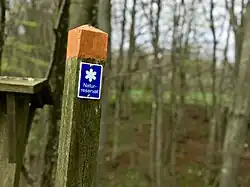 Marker