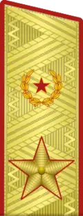 Parade uniform (2013-2017) (Turned-Down Collar)
