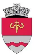Coat of arms of Ruginoasa