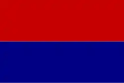 Flag of Carei