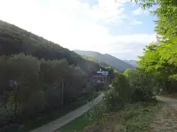 Valea Vadului