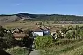 Țapu