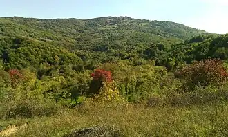 Măgura Priei
