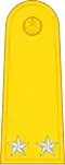 Air Vice Marshal