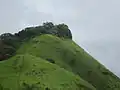 Duba