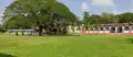 Sports Field