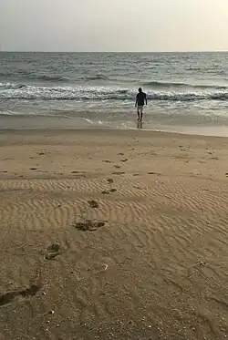 Mattool Beach