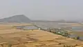 Raulibandha's wetland areas. View from nearby hill top