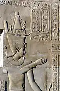 Ptolemy VIII