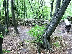 Castle ruins