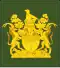 Regimental Sergeant Major of the Army