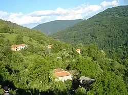 Ribnica