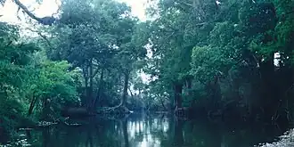 Río Sabinas, Municipality of Gómez Farías, Tamaulipas (15 April 2001).