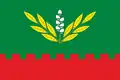 Flag of Rokytne